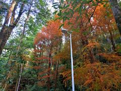 -水濂山森林公园