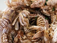 -渔中舟海鲜大排档(普陀沈家门店)