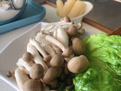 -百年果林椰子鸡(中洲店)