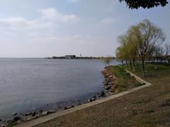 -漕湖湿地公园