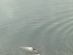 -千龙湖生态旅游度假区