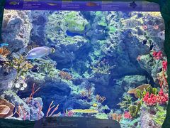 -珠海长隆海洋王国