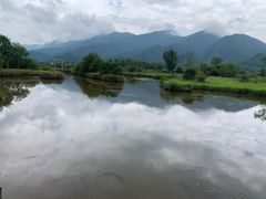 -大九湖