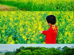 -光明小镇欢乐田园