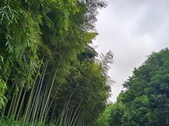 -苏州环秀晓筑养生度假村