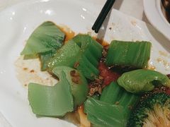 -新雅粤菜馆(南京东路店)