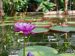 -国家植物园南园