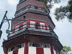 -顺峰山公园