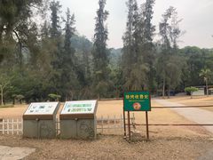 -南宁良凤江国家森林公园