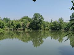 -西溪国家湿地公园