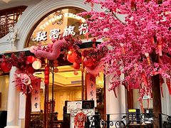 -秘密旅行Bonjour(黑金冠 江南西店)