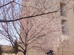 -吉林大学(前卫南区)
