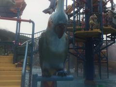 -苏州乐园森林水世界