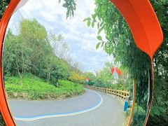 -杭州半山国家森林公园