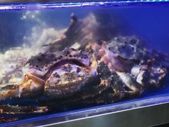 -盒马鲜生(莱蒙都会店)