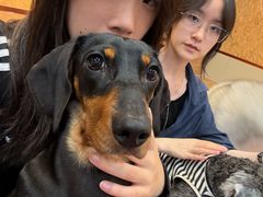 -和它·交个朋友·狗咖猫咖(爱琴海店)