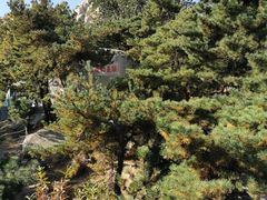 -崂山仰口游览区
