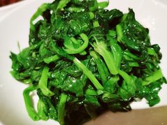 五粮液嫩豆苗-玫瑰厅上海菜(兴国路店)