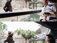 -灵玲国际马戏城