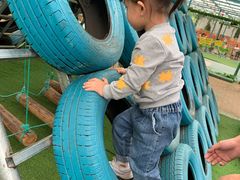 -麻涌飞鸭开心农场