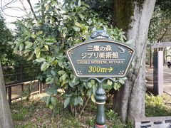 -三鹰之森吉卜力美术馆