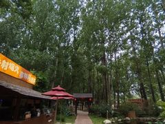 -林间山庄
