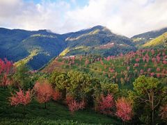 -无量山自然风景保护区