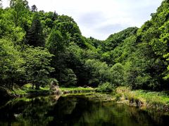 -洛阳白云山景区
