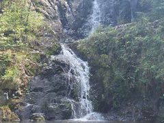-旗山国家森林公园