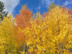 -北极村旅游风景区