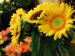 -森野花艺培训·企业团建活动沙龙