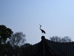 -上海醉白池公园