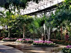 -北京植物园-展览温室