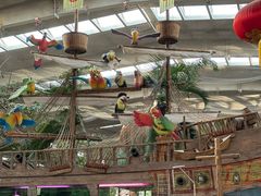 -南宫五洲植物乐园