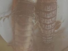 -春华海鲜城(广场西苑店)