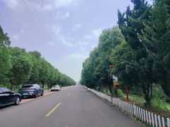 -渌洋湖湿地公园