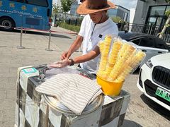 -霍尔果斯国门景区