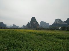 -明仕田园