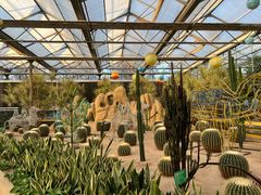 -南宫五洲植物乐园