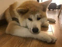 -YCHL Studios健身工作室(市二宫店)