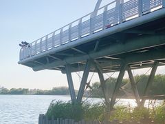 -大兴滨河森林公园