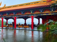 -东莞市大岭山森林公园