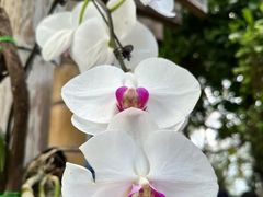 -北京植物园-展览温室