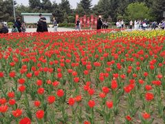 -长春公园(普阳街道)