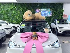 -上海浦东smart汽车全功能店(金桥店)