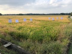 -嘉北郊野公园