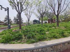 -东郊湿地公园