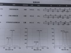 -宠济安动物医院 内科.猫科.外科