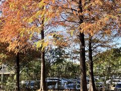 -中旅阿那亚九龙湖·公主酒店