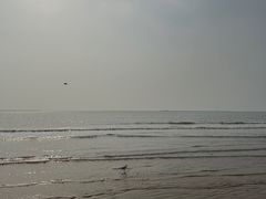 -金梦海湾浴场